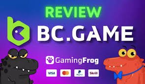 دليل سحب BC.Game خطوات سهلة لسحب أرباحك دليل سحب BC.Game خطوات سهلة لسحب أرباحك